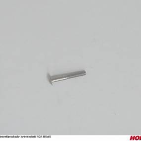 Linsenflanschschr Innensechskt V2A M6X45 Horsch 00370944