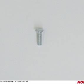 Flachrundschr.m.4Kt. 10 X 30 8.8 Vz. Son Horsch 00371174