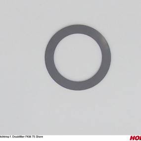 Dichtring F. Druckfilter Fkm 75 Shore (04006830) Horsch
