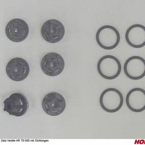 1 Satz Ventile Ar 70-560 mit Dichtungen (04104170) Horsch
