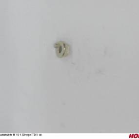 Bundmutter M 10 F. Striegel Td Ii Vz. Horsch 23046302