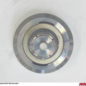 Lagereinheit Messerwalze Horsch 95163099