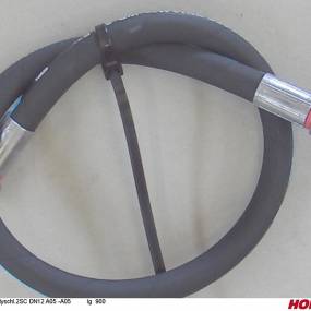 Hsdn12 2Sc Dkol15 Dkol15 900 Horsch 00120465