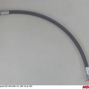 Hsdn08 2Sc Dkol12 Dkol12 550 Horsch 00120618