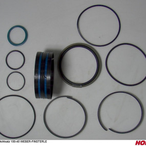 Dichtsatz 100-40 Weber-Finsterle Horsch 00130109
