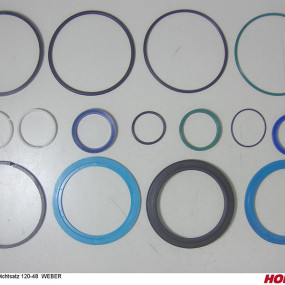 Dichtsatz 120-48 Weber Horsch 00130726