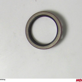 Dichtring Horsch 00270427