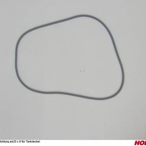 Dichtung Ø420 X 8 für Tankdeckel Horsch 00270895