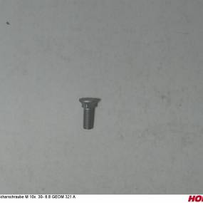 Scharschraube M 10X 30- 8.8 Geom 321 A Horsch 00310096