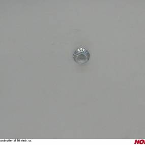Bundmutter M 10 Niedr. Vz. Horsch 00350835