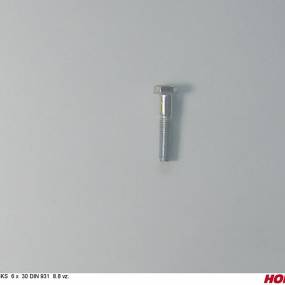 Sks 6 X 30 Din 931 8.8 Vz. Horsch 00360001