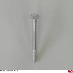 Sks 20 X 220 Din 931 8.8 Vz. Horsch 00360083