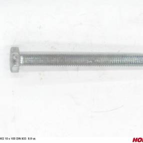 Sks 10 X 100 Din 933 8.8 Vz. Horsch