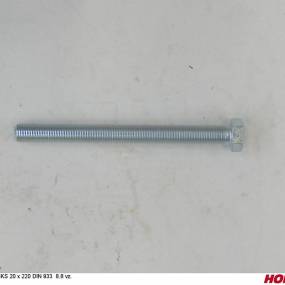 Sks 20 X 220 Din 933 8.8 Vz. Horsch 00360162