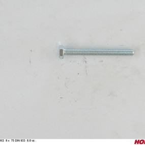 Sks 8 X 75 Din 933 8.8 Vz. Horsch 00360229