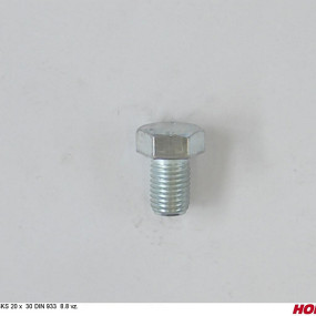 Sks 20 X 30 Din 933 8.8 Vz. Horsch 00360260