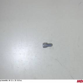 Zyl.innen6Kt. M 12 X 20 8.8 Vz. Horsch 00370189