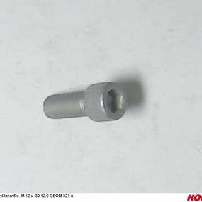 Zyl.innen6Kt. M 12 X 30 12.9 Geom 321 A Horsch 00370297