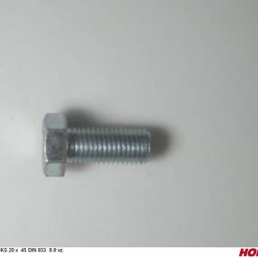 Sks 20 X 45 Din 933 8.8 Vz. Horsch