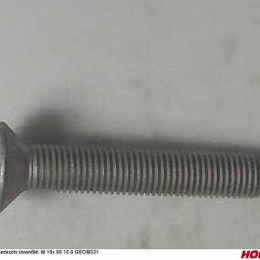 Sesmi 16 X 90 Din En Iso 10642 10.9 Zlü Horsch 00370470