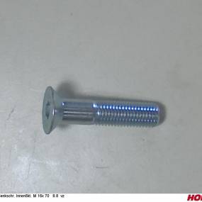 Sesmi 16 X 70 Din En Iso 10642 8.8 Vz. Horsch 00370540