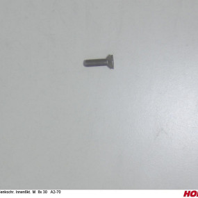 Sesmi 8 X 30 Din En Iso 10642 A2-70 Horsch 00370549