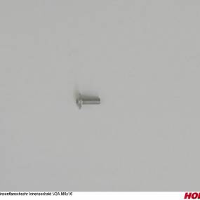 Lfsmi 6 X 16 Din En Iso 7380-2 A2-70 Horsch 00370770