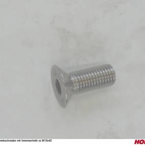 Senkschraube mit Innensechskt Vz M16X40 Horsch 00370794