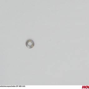 Keilsicherungsscheibe Bf-M8-V4A (00371175) Horsch