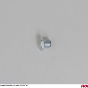 Magnet-Verschlusschraube 56145700 Horsch 00385269