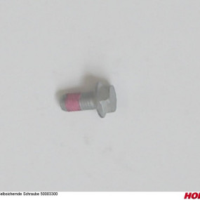Selbstsichernde Schraube 50003300 Horsch 00385290
