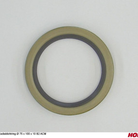 Radialdichtring Ø 75 X 100 X 10 B2 Acm Horsch 00385367
