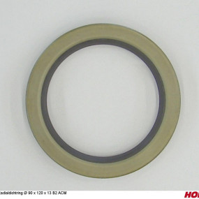 Radialdichtring Ø 90 X 120 X 13 B2 Acm Horsch 00385368