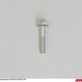 Bundschraube Hr 6004 Dr 80071255 Horsch 00385874