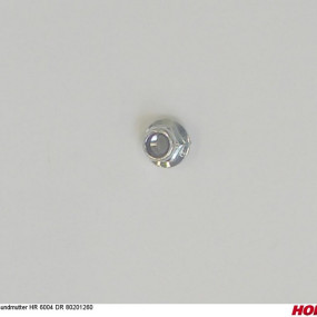 Bundmutter Hr 6004 Dr 80201260 Horsch 00385875