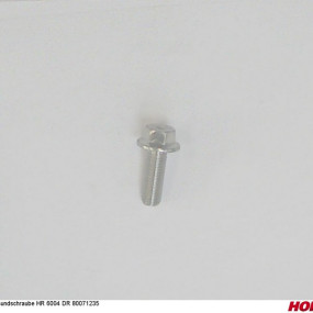 Bundschraube Hr 6004 Dr 80071235 Horsch 00385886