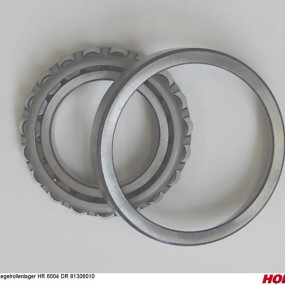 Kegelrollenlager Hr 6004 Dr 81306010 Horsch 00385911