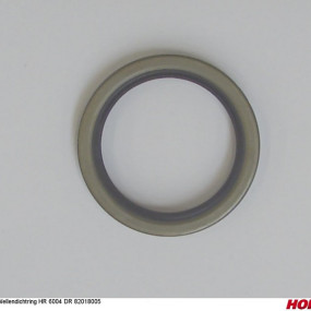 Wellendichtring Hr 6004 Dr 82018005 Horsch 00385915