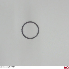 Halber Zahnring 36 39899 Horsch 04004334
