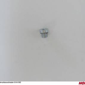 Vsti G1/4" Lan Horsch 04004823