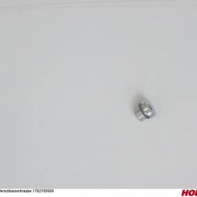 Verschlussschraube 1702705000 Horsch 04005082