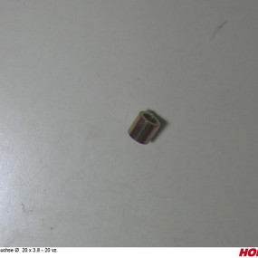 Buchse Ø 20 X 3.8 - 20 Vz. Horsch 31044813