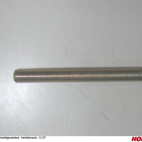 Einstellgewindest. Verteileraush. 12 St Horsch 31123202