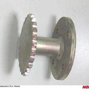 -Kettenrad Z 25 M. Flansch Horsch 33600400