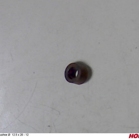 Buchse Ø 12.5 X 20 - 12 Horsch 33619705