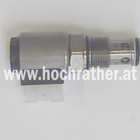 Ventil 2/2 Wegesitzv. 12V 100L Horsch
