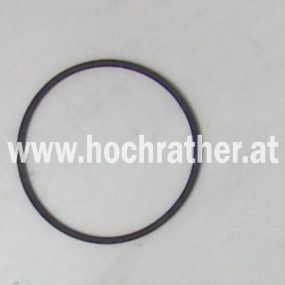 Dichtung F. Hyd.filter E103/271 Horsch