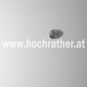 Buchse Horsch 24078711