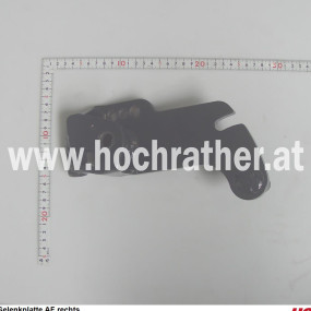 Gelenkplatte Af rechts Horsch