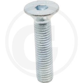 Sesmi 12 X 55 Din En Iso 10642 8.8 Vz. Horsch